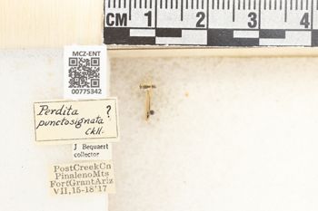 Media type: image;   Entomology 775342 Aspect: Labels
